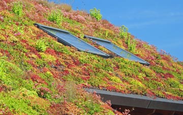 Oswaldtwistle living roof systems