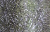 Oswaldtwistle fibreglass roof work